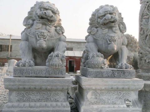 點(diǎn)擊查看詳細(xì)信息<br>標(biāo)題：石雕獅子13 閱讀次數(shù)：1984